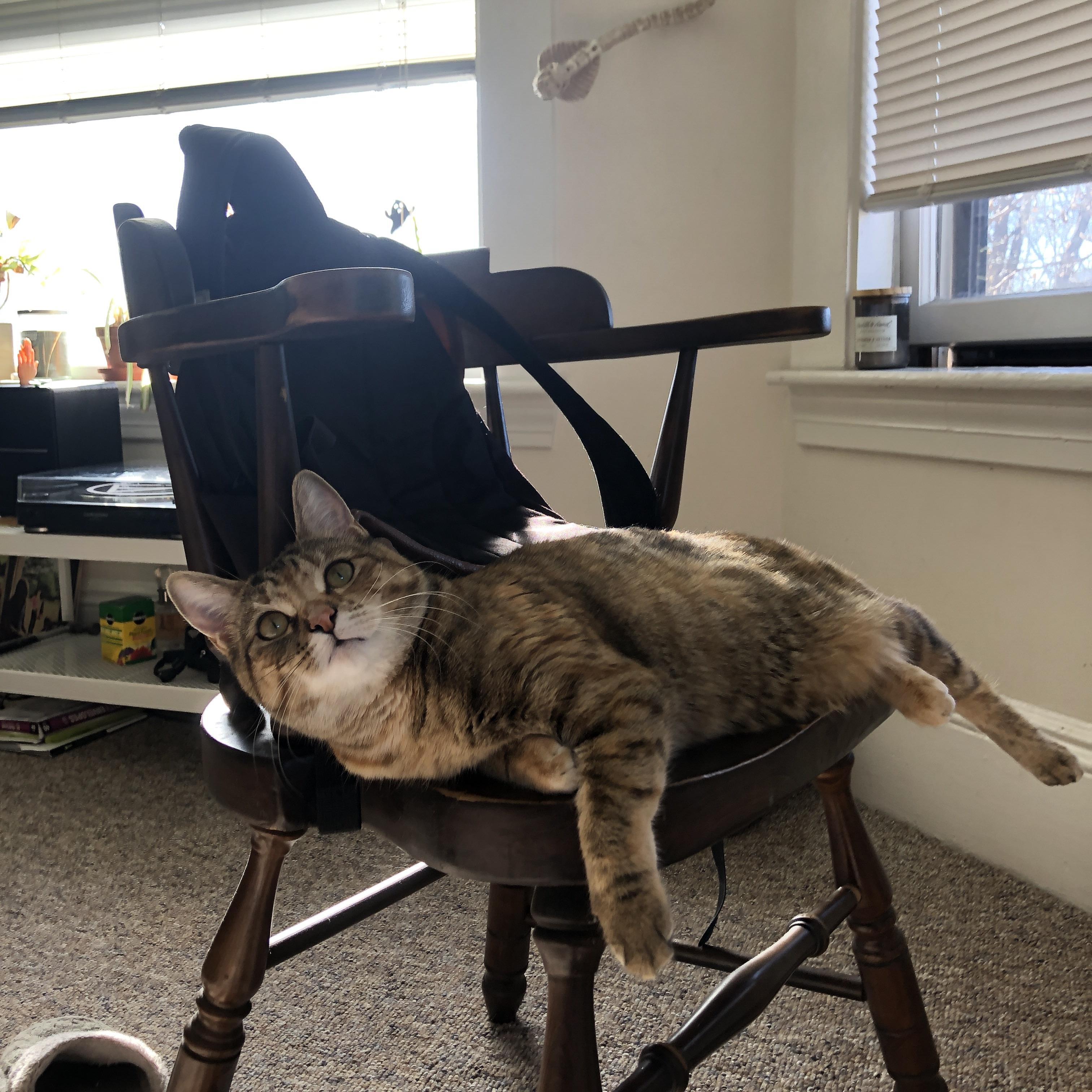 上帝左手书写神迹,塞内加尔时钟精准报时,这场非典型胜利如何肢解了拉齐奥的秩序